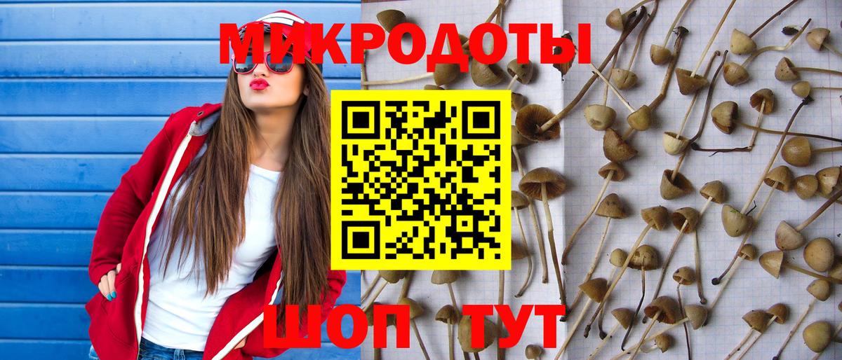 Галлюциногенные грибы Magic Shrooms Кизилюрт