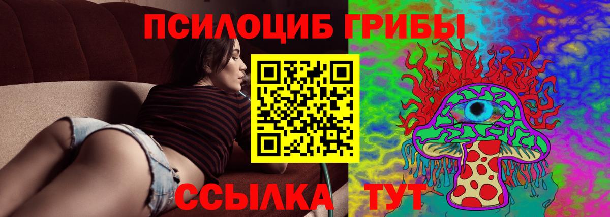где можно купить   Галлюциногенные грибы прущие грибы  Вход с VPN  Кизилюрт 
